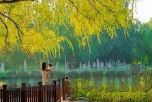 糖心直播app最新版下载-揭秘糖心直播APP——解锁直播新体验的六大亮点